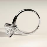 AMA | 3ct Round Solitaire - Ready To Ship - The Classic Jewellers