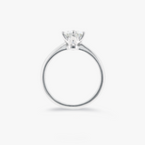 SACHI | 18K White Gold 1.5ct Round Moissanite Solitaire Ring