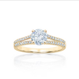 Winifred | Split shank solitaire engagement ring - The Classic Jewellers
